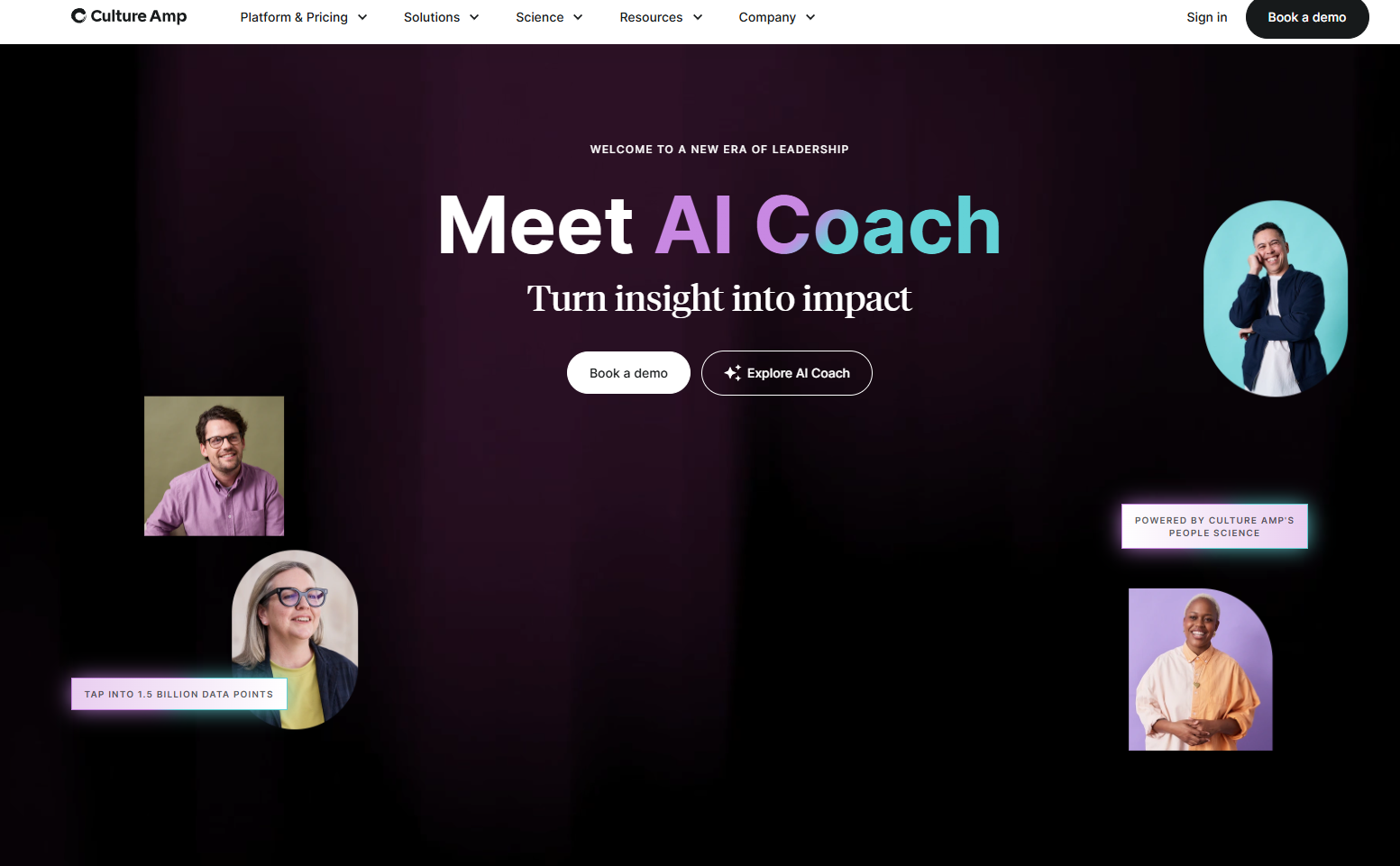 culture amp overview