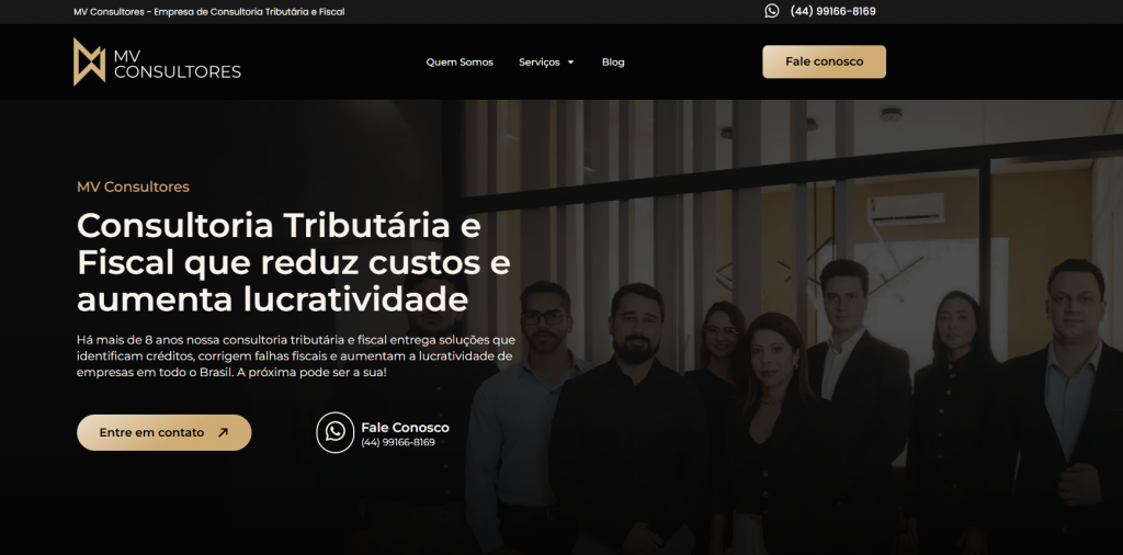 mv consultores review