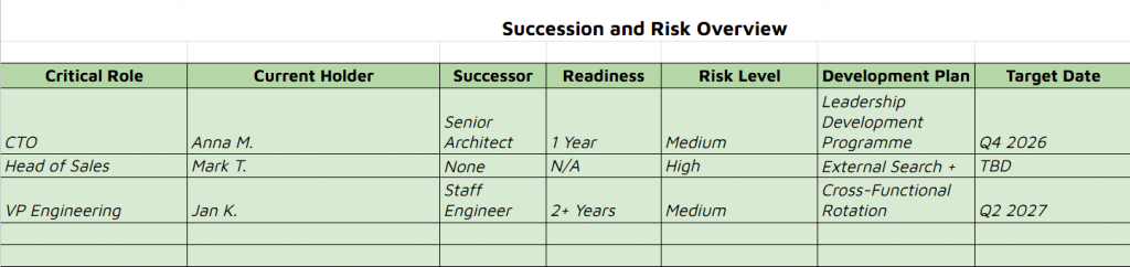 succession and risk overview planning template