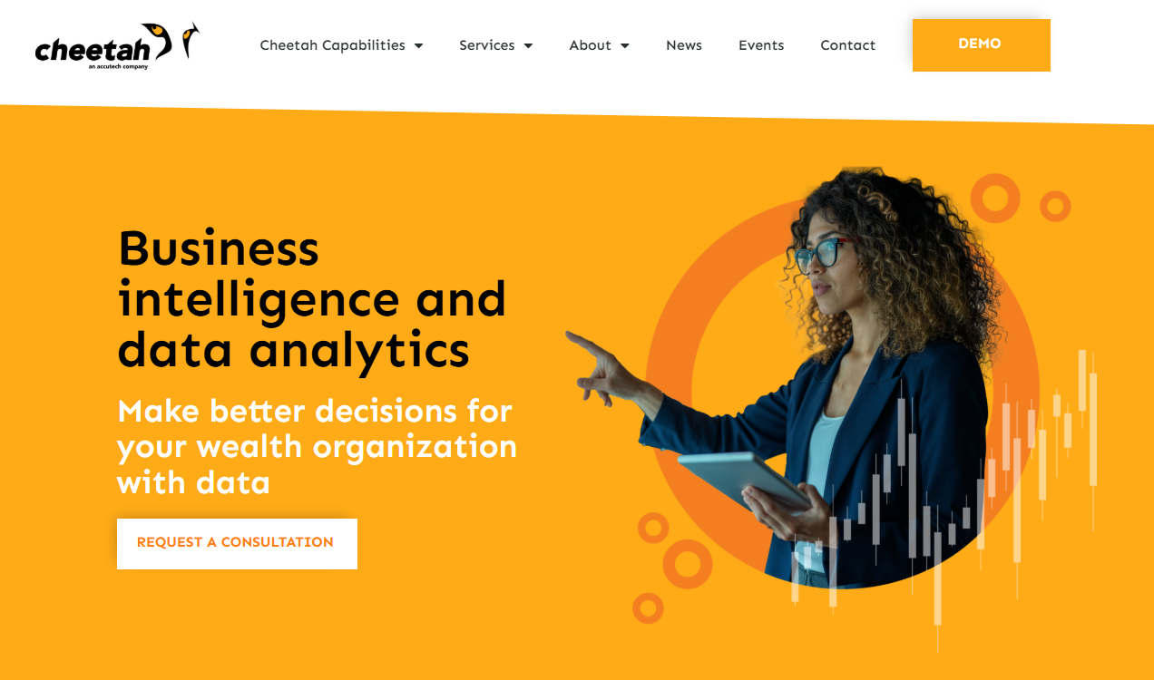 cheat cheetah review