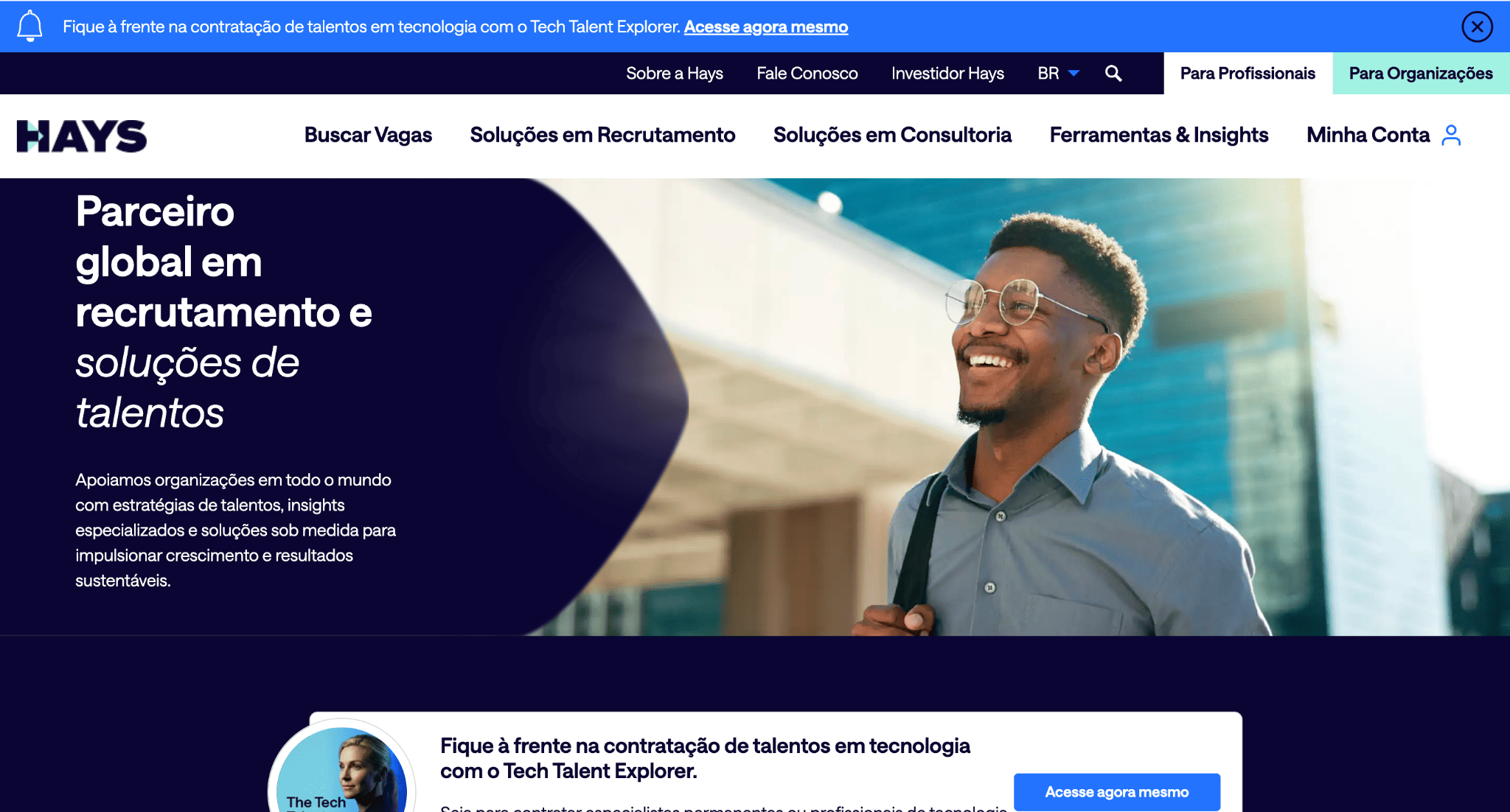 hays brasil website