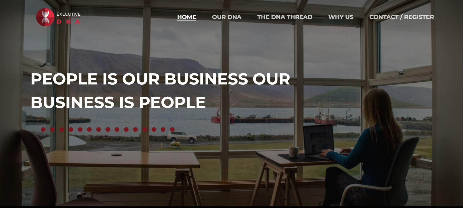executive dna review