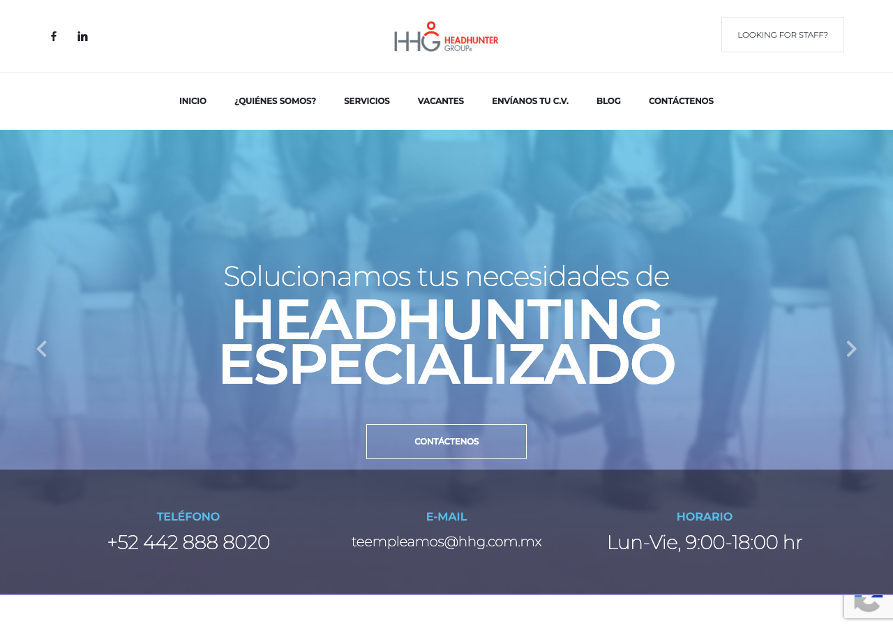 hhg headhunter group review