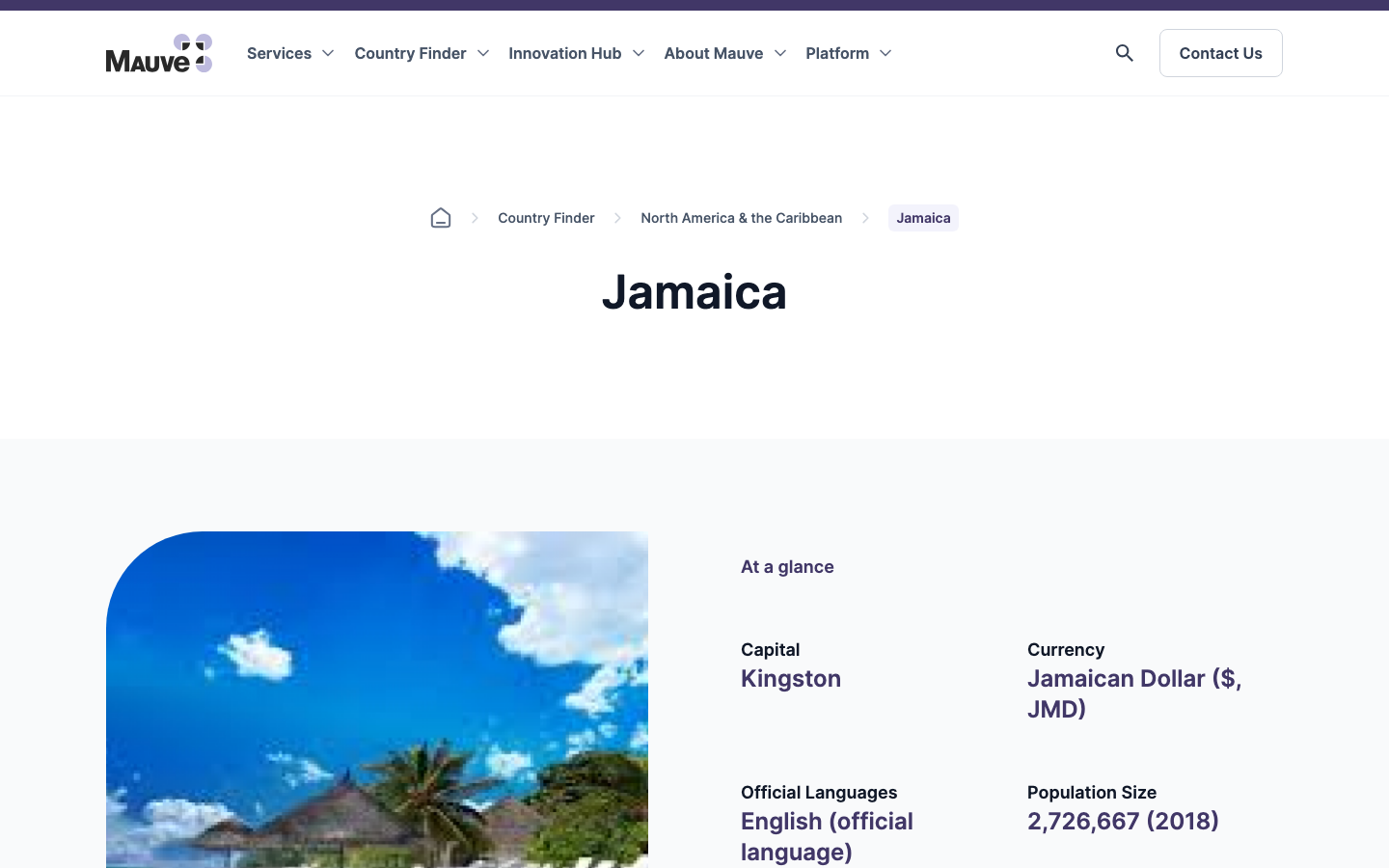 mauve group review
