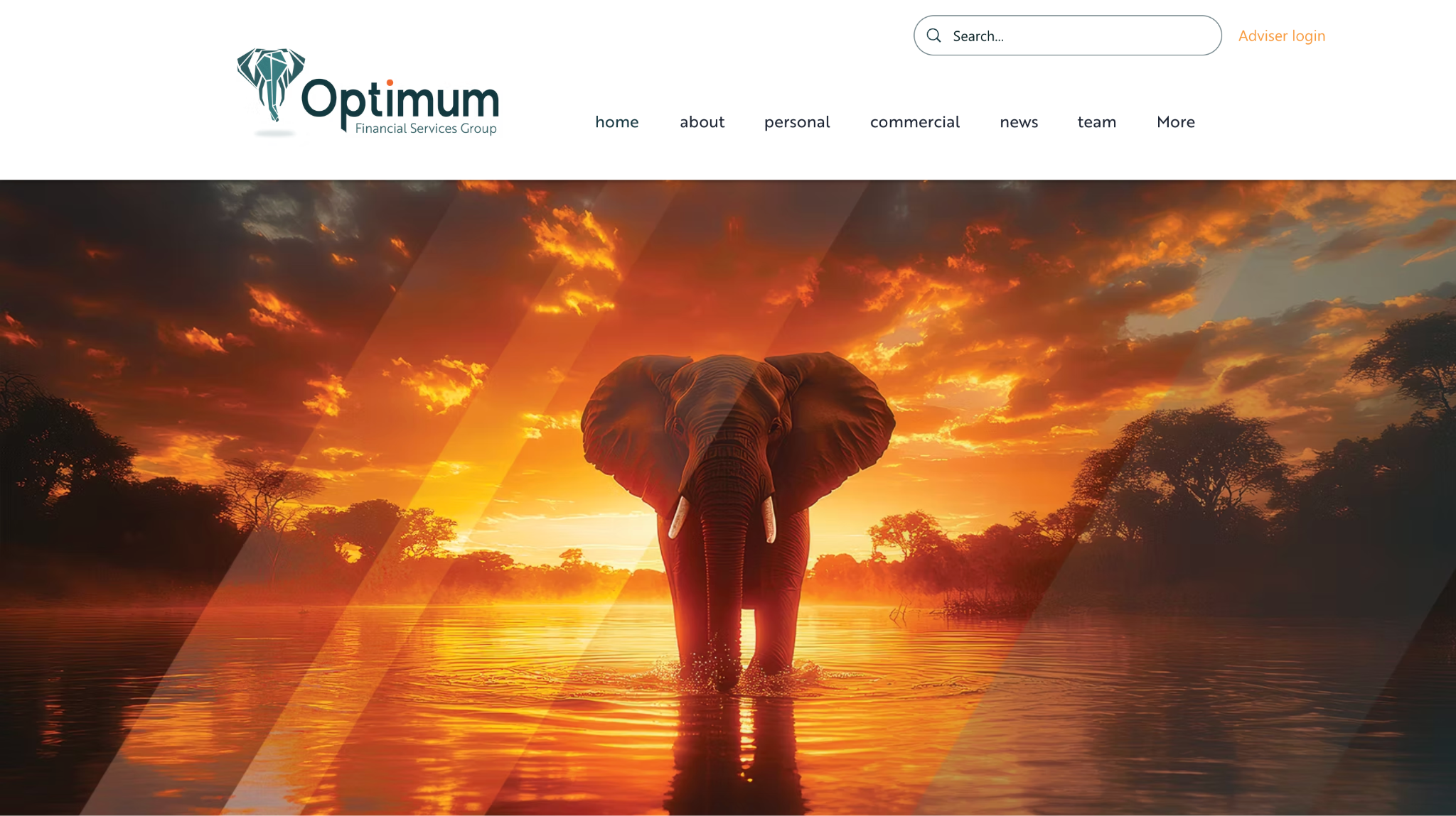 optimum financial services group review