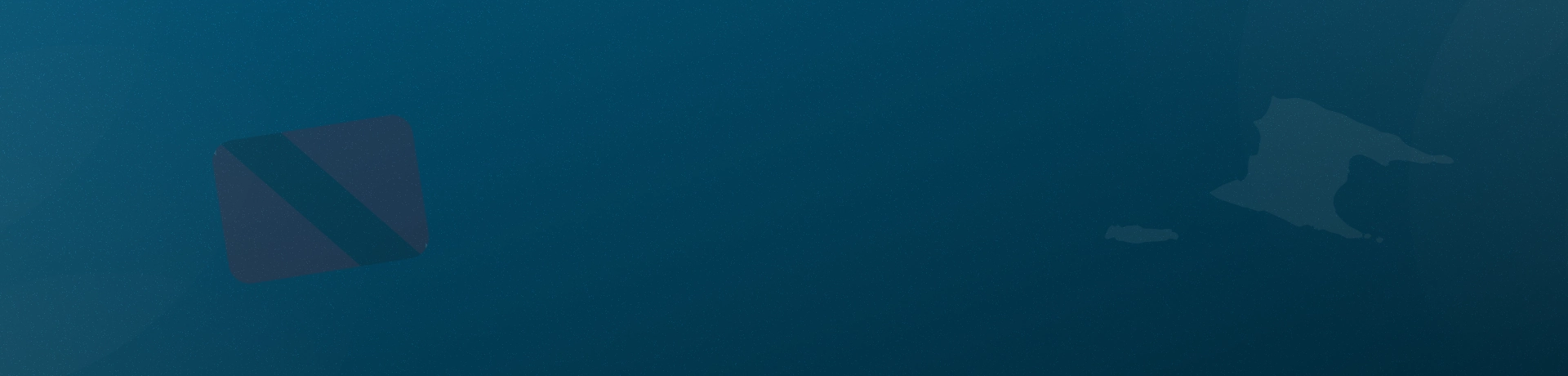 Anywherer image