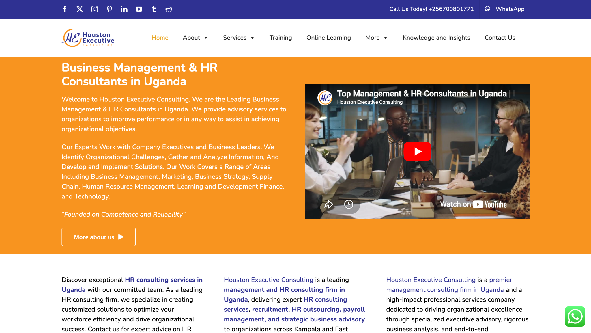 houston executive consulting review