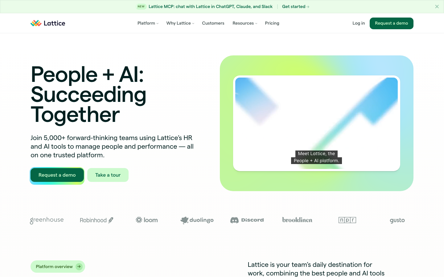 lattice review