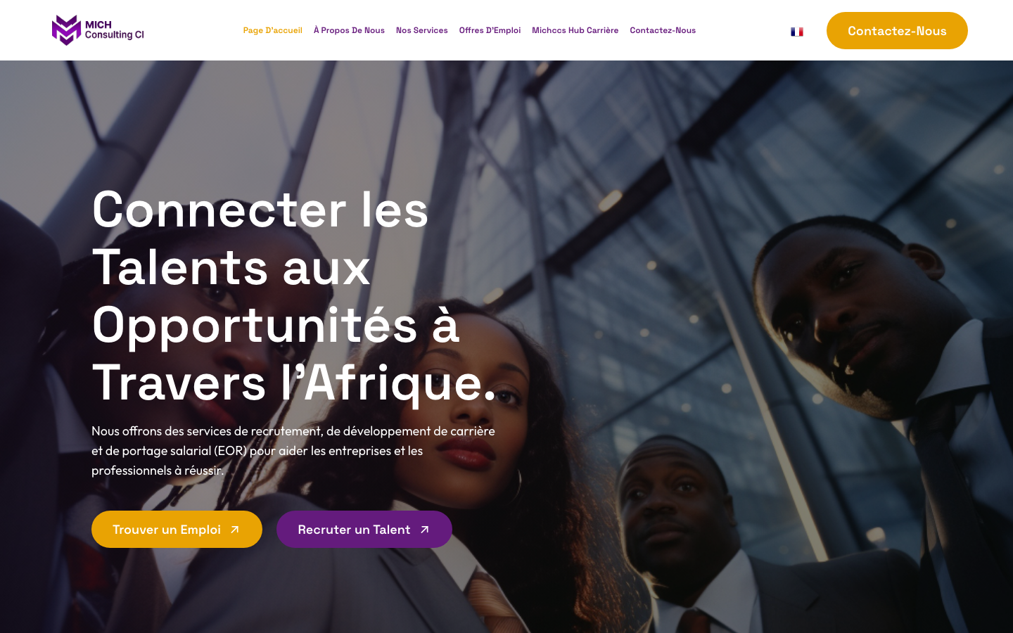 michconsulting ci review