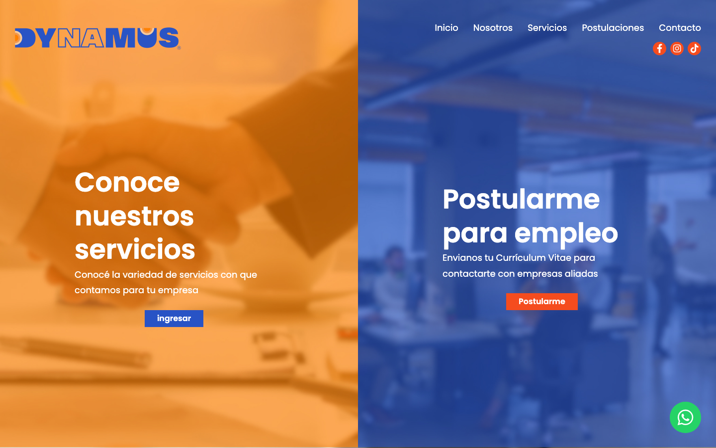 dynamus review
