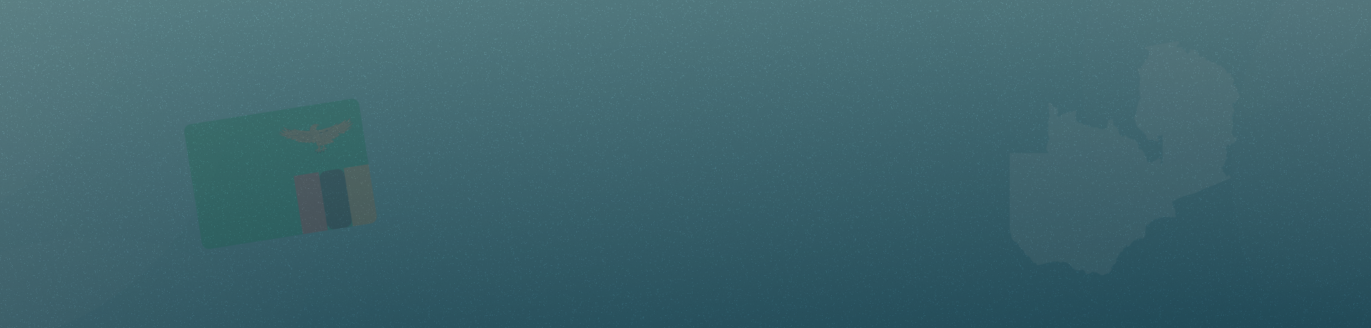 Anywherer image