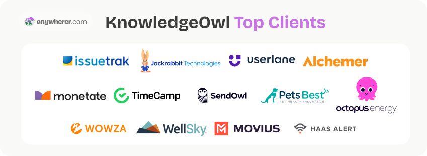 knowledgeowl top clients