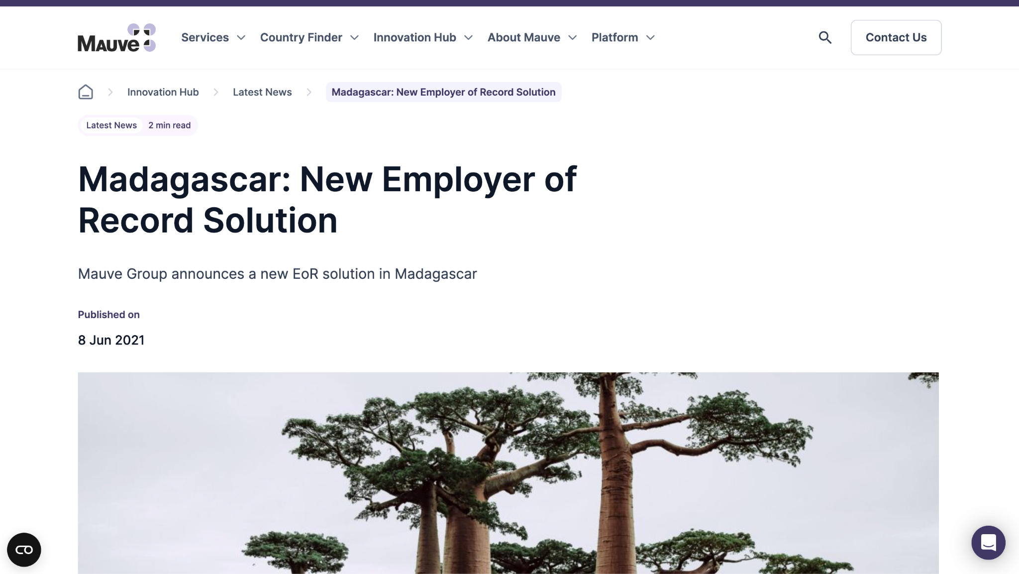 mauve group madagascar review