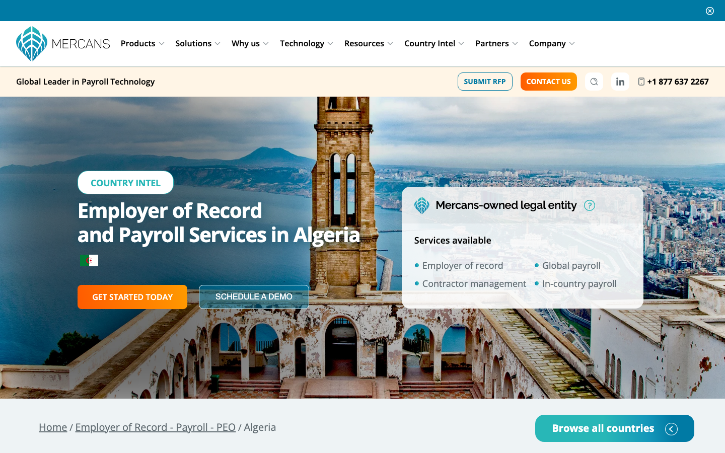 mercans algeria review