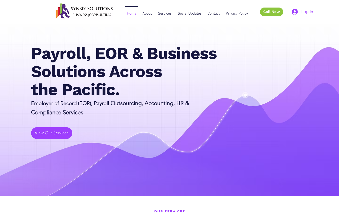 synbiz solutions overview