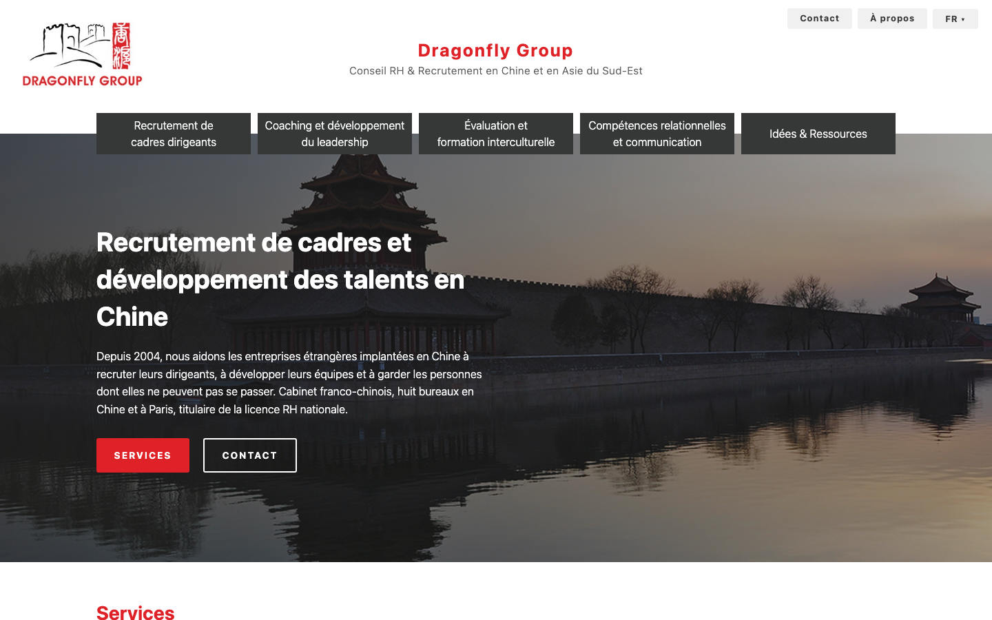 dragonfly group review