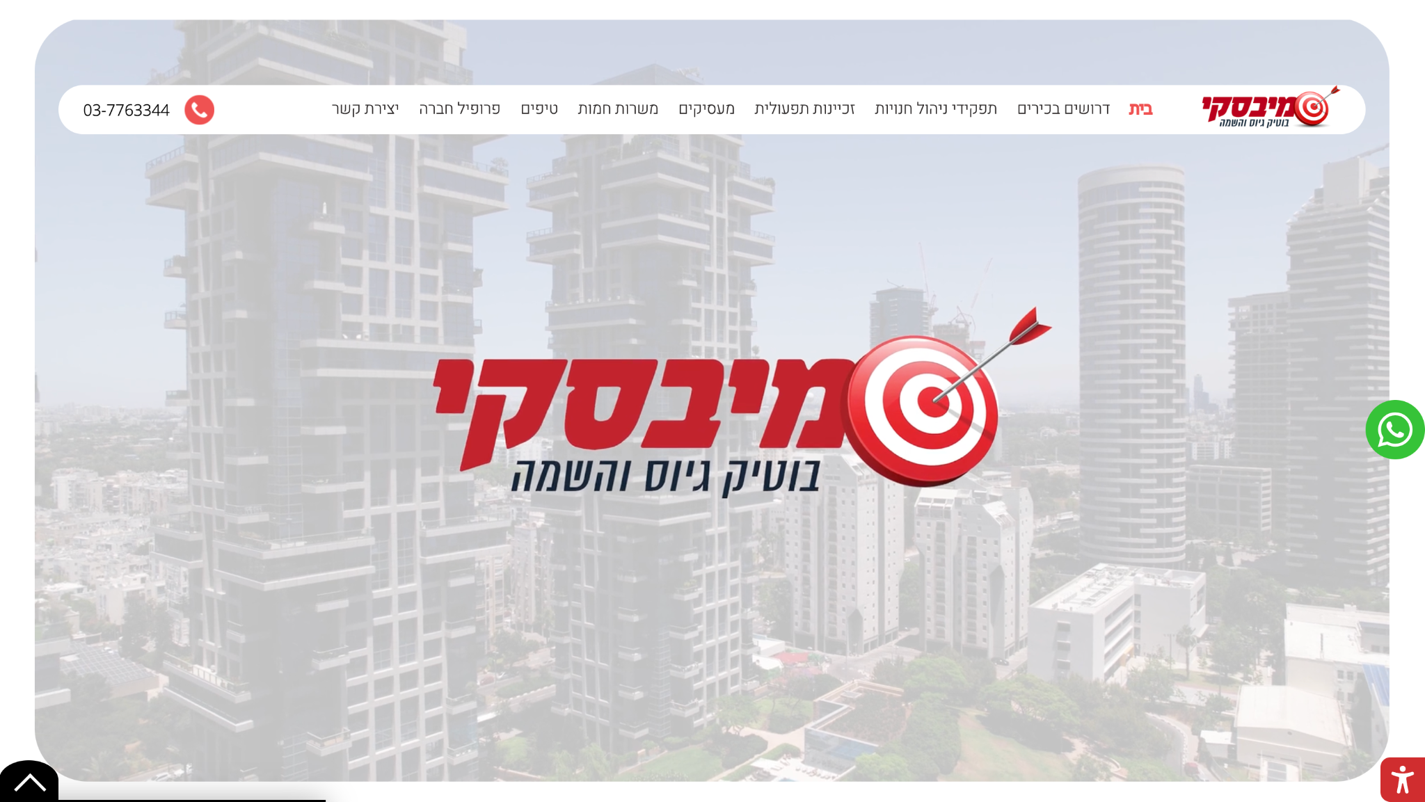 mievsky placement company review