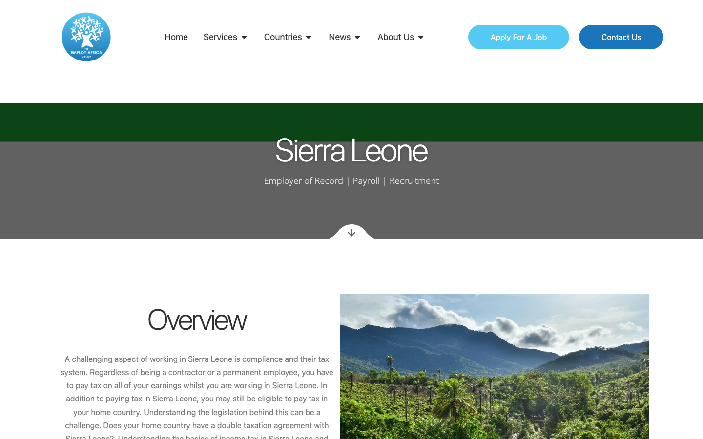 the employ africa group overview