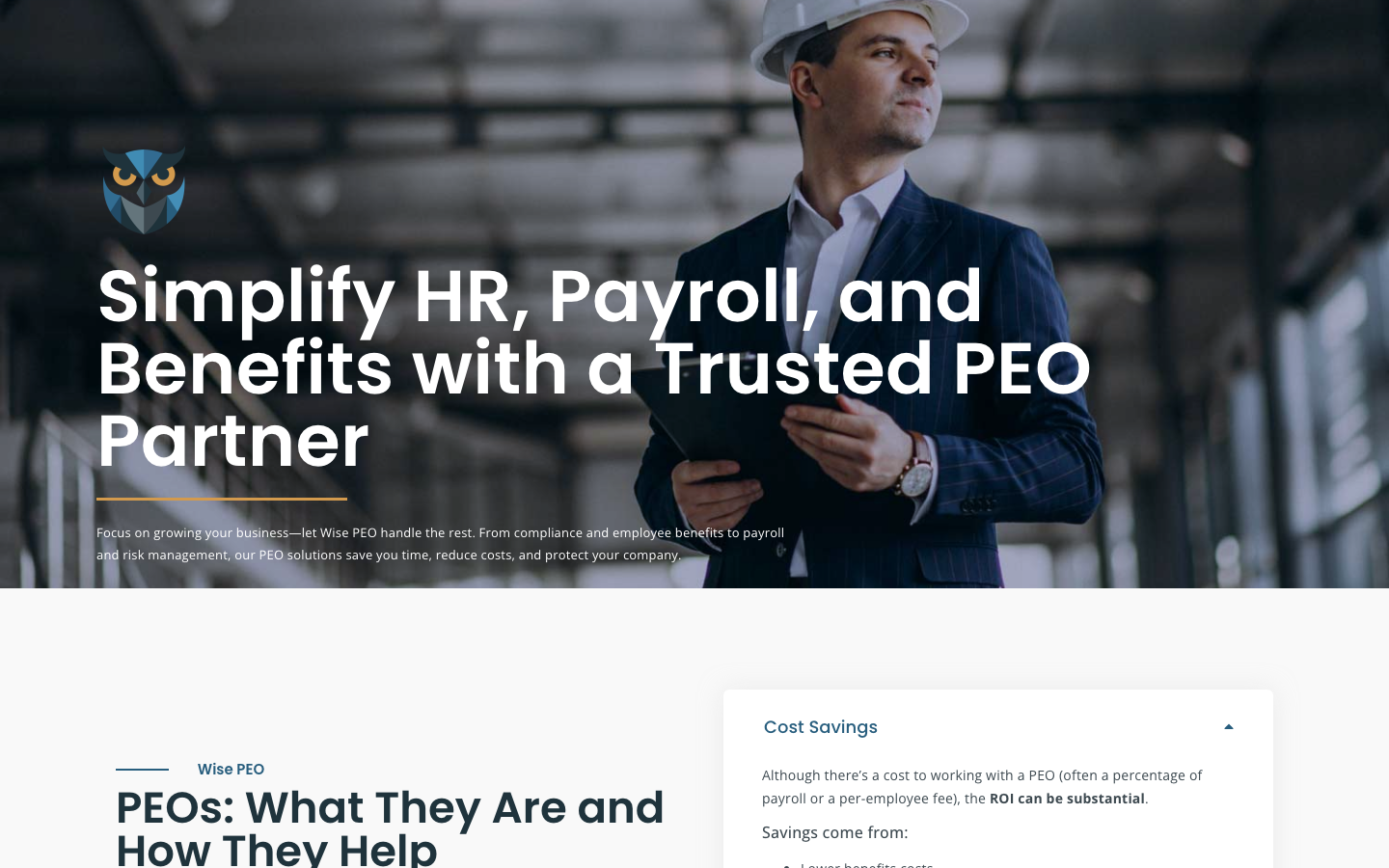 wise peo review